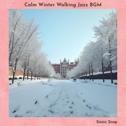 Calm Winter Walking Jazz Bgm