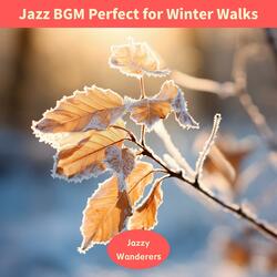 Glimmering Snow Dream