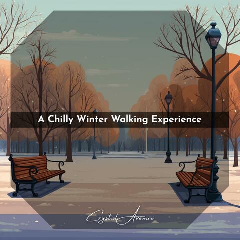 A Chilly Winter Walking Experience