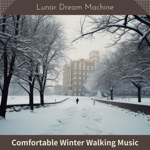 Comfortable Winter Walking Music