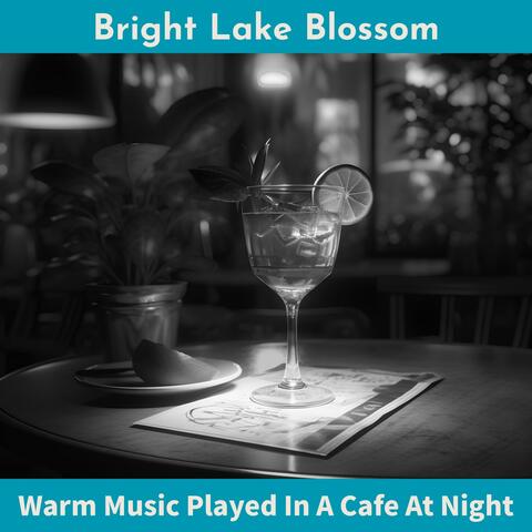 Warm Music Played in a Cafe at Night