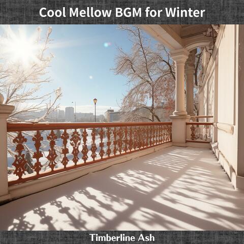 Cool Mellow Bgm for Winter