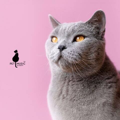 Nine Lives of Cat