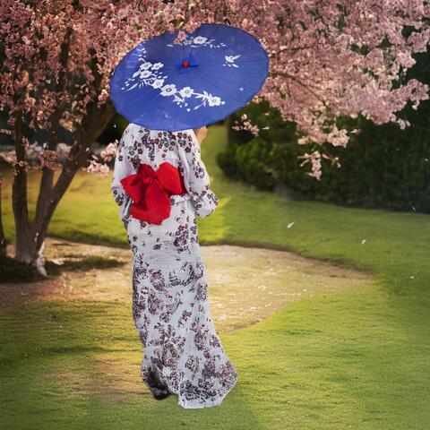 桜の下で魂を目覚めさせる箏の禅音楽