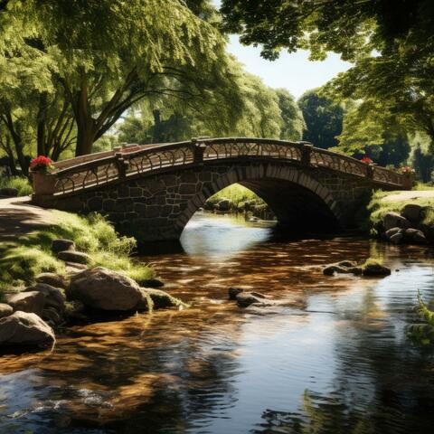 Passerelle vers la purification