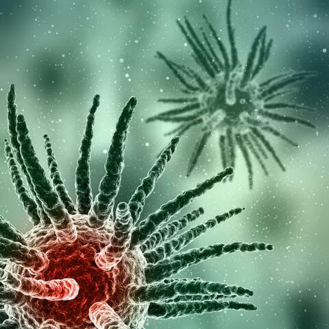Bacterial Detox & Anti-Inflammatory Relief