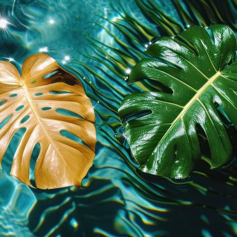 Chillin' by Day, Partyin' by Night