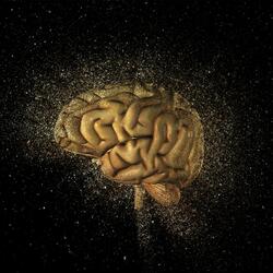 Synaptic Serenity