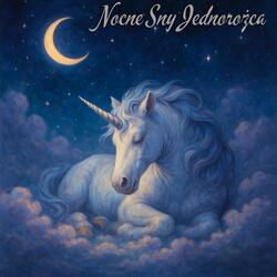 Delikatny Dotyk Nocy