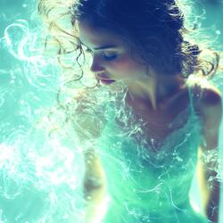 The Silentclaw Shadows