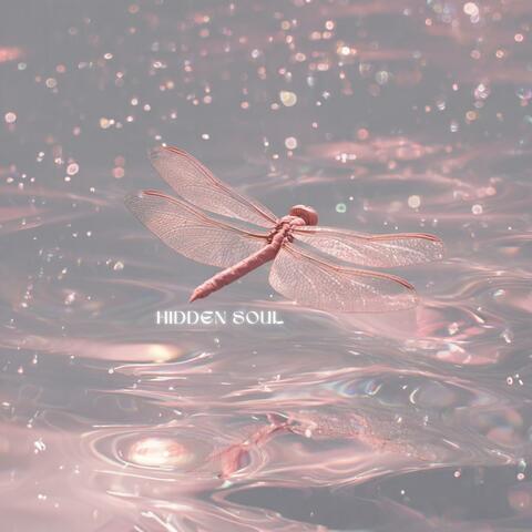 Hidden Soul
