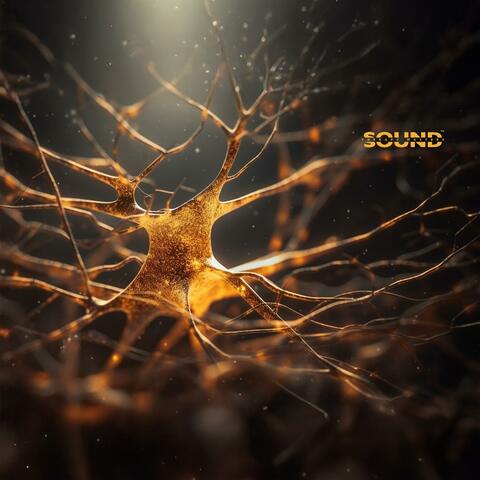 Upper Cortex Charge