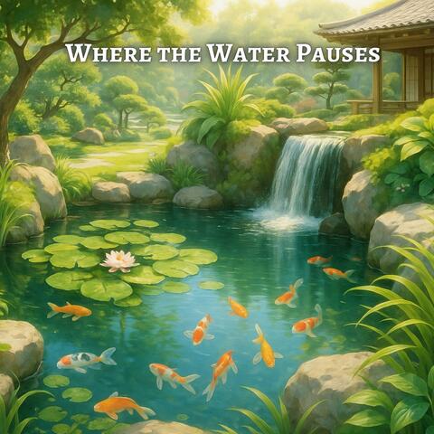 Where the Water Pauses, Zen Falls