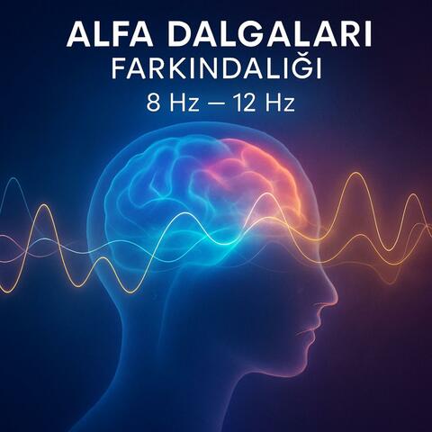 Alfa Dalgaları Farkındalığı