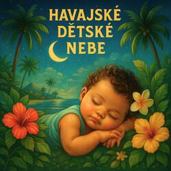 Klidná Havajská Noc