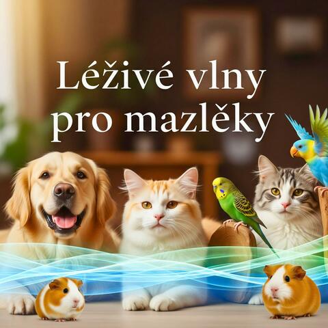 Léčivé vlny pro mazlíčky