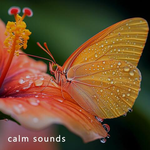 Silent Hum Retreat