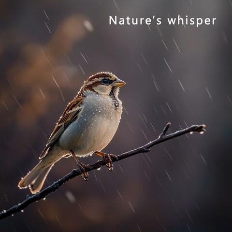 Nature’s Whisper Ease
