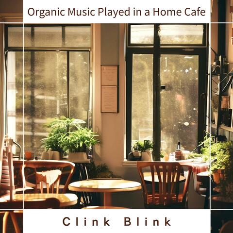 Organic Music Played in a Home Cafe