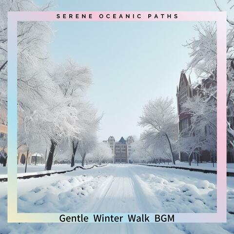 Gentle Winter Walk Bgm