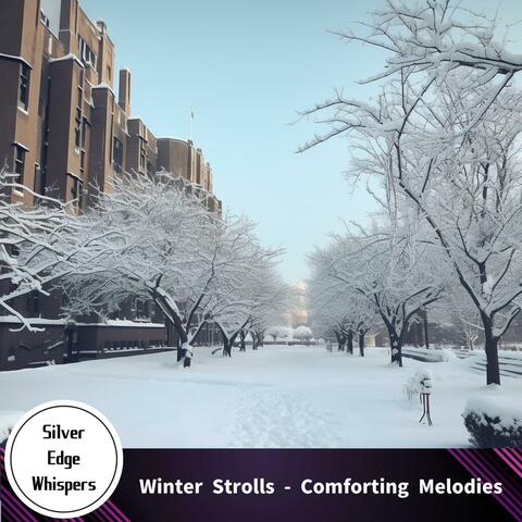 Winter Strolls-Comforting Melodies