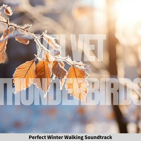 Perfect Winter Walking Soundtrack