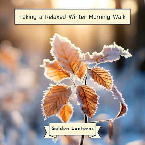 Taking a Relaxed Winter Morning Walk