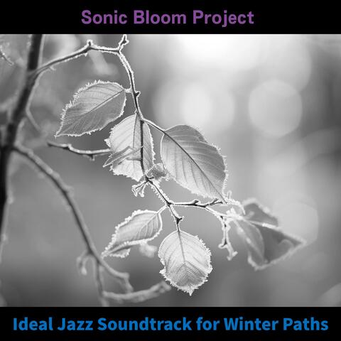 Ideal Jazz Soundtrack for Winter Paths