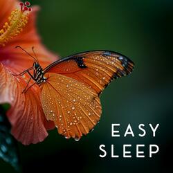 Rainfall Rest