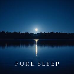 Quiet Nights