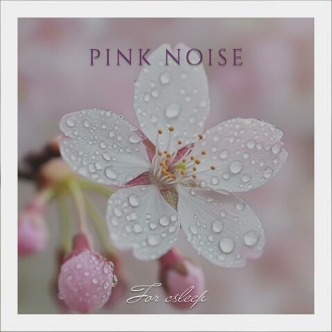 Soft Nightfall’s Embrace