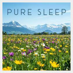 Streams of Stillness