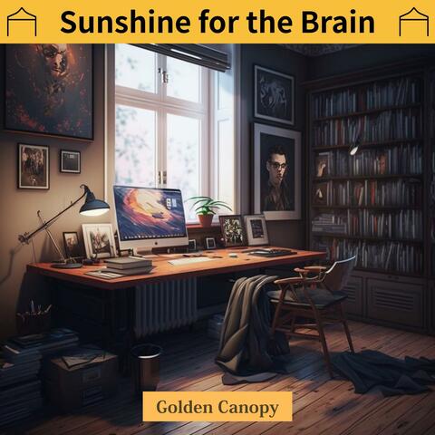Sunshine for the Brain