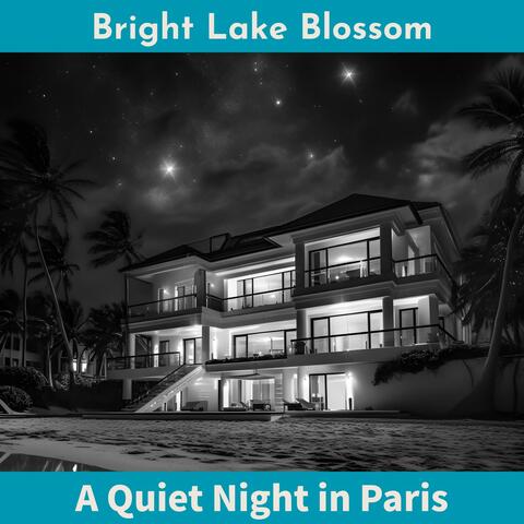 A Quiet Night in Paris