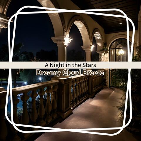 A Night in the Stars