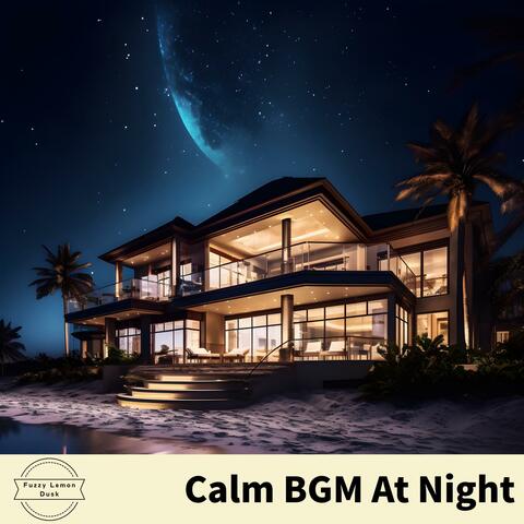 Calm Bgm at Night