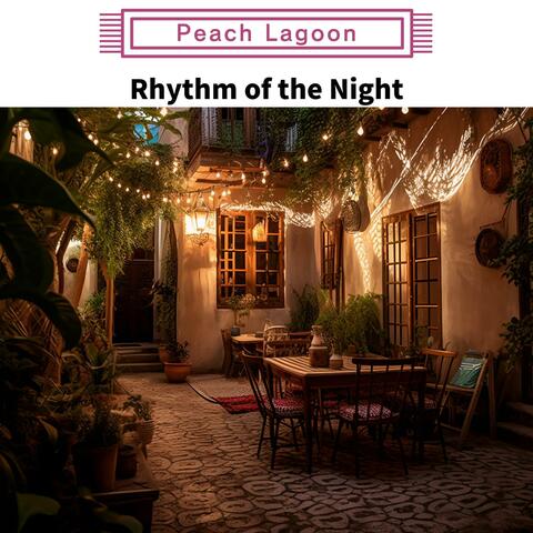 Rhythm of the Night