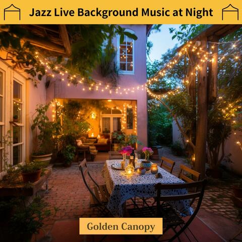 Jazz Live Background Music at Night
