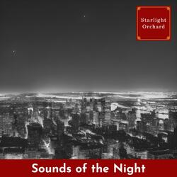 Chasing Midnight Dreams