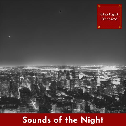 Sounds of the Night