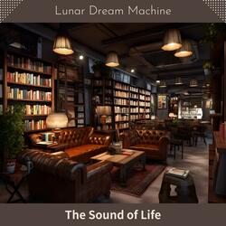 Timeless Tales and Tannins