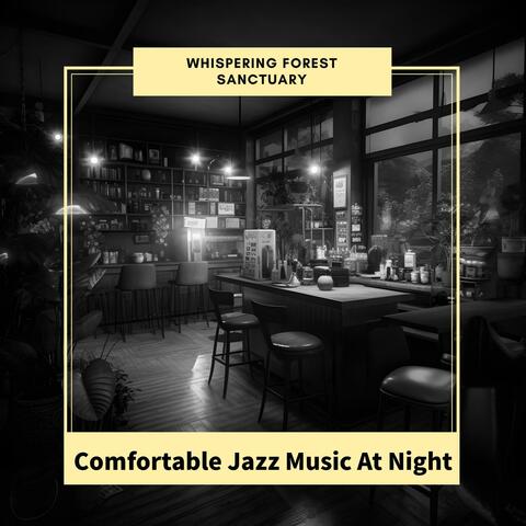 Comfortable Jazz Music at Night
