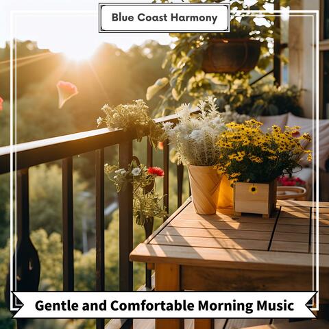 Gentle and Comfortable Morning Music