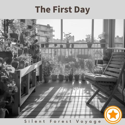 The First Day