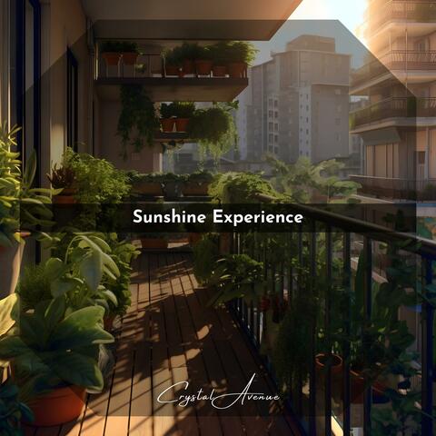 Sunshine Experience