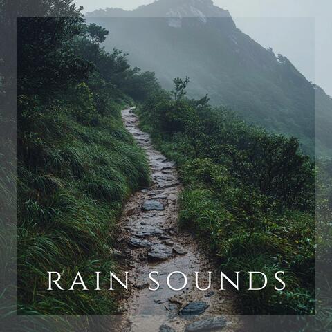 Winding Pathways Calm