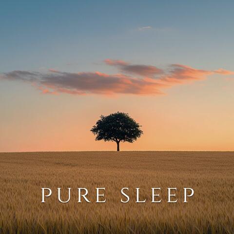 Golden Dreams Unfold