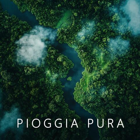 Calme du Rivage Tortueux