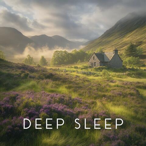 Peaceful Journeys Begin