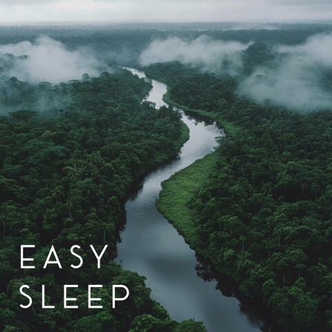 Blissful Quiet Journey